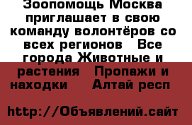 Зоопомощь.Москва приглашает в свою команду волонтёров со всех регионов - Все города Животные и растения » Пропажи и находки   . Алтай респ.